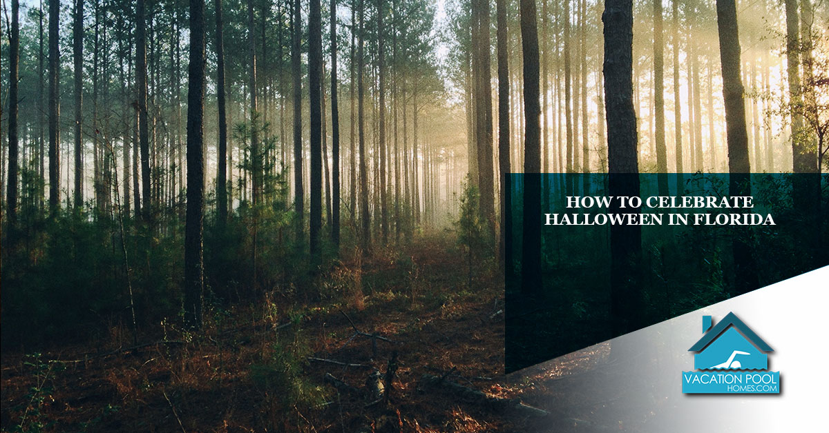 How To Celebrate Halloween In Florida